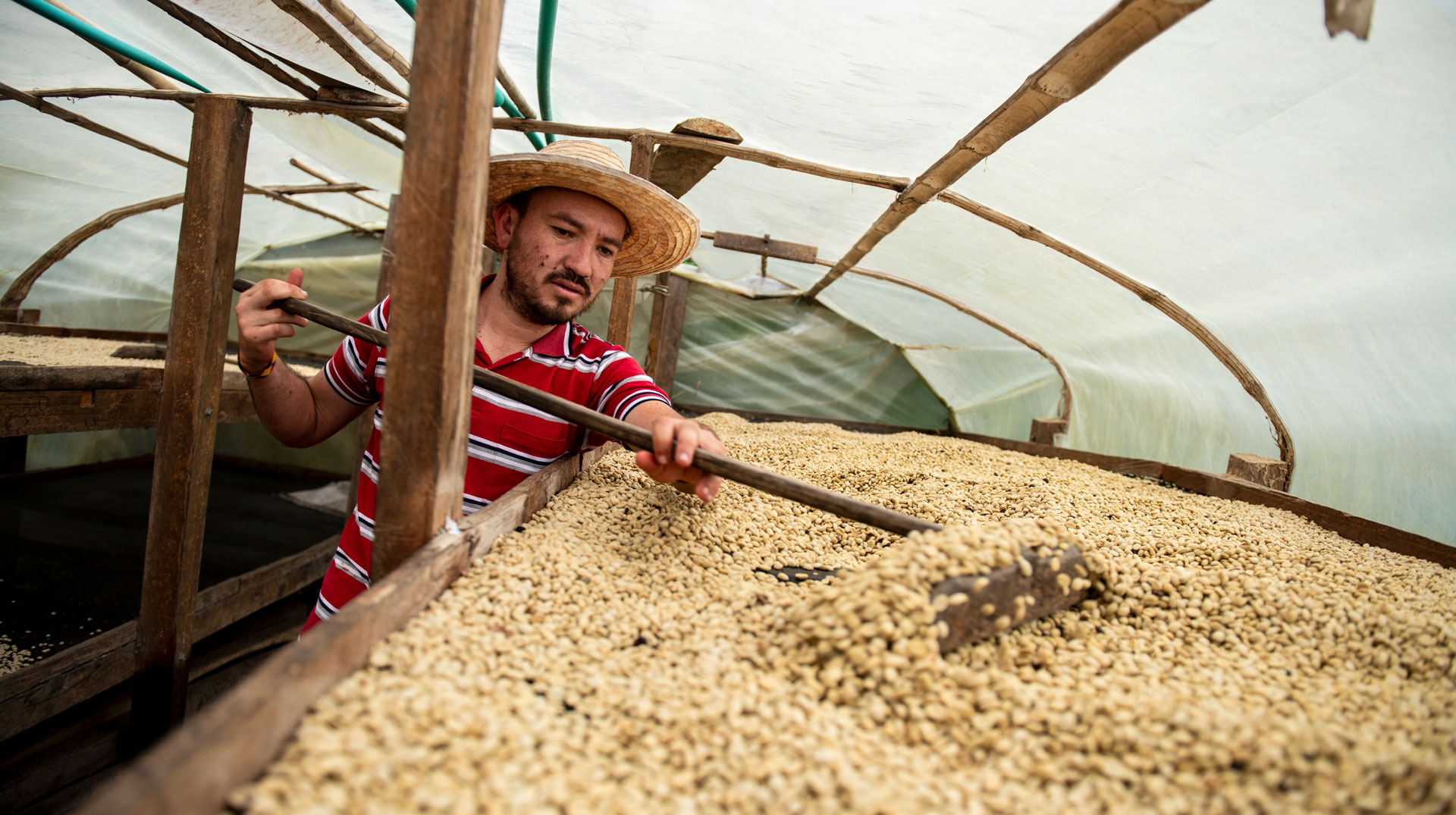 Misereor: Kaffee-Preis deckt viele versteckten Kosten nicht