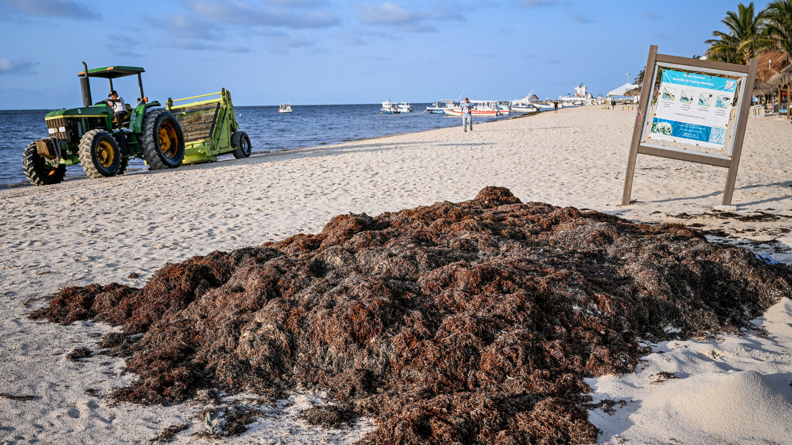 Seegras-Plage an Mexikos Stränden