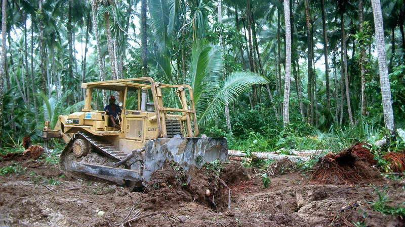 Ein Bulldozer rodet einen tropischen Wald.
Bild: Melters/Missio Aachen