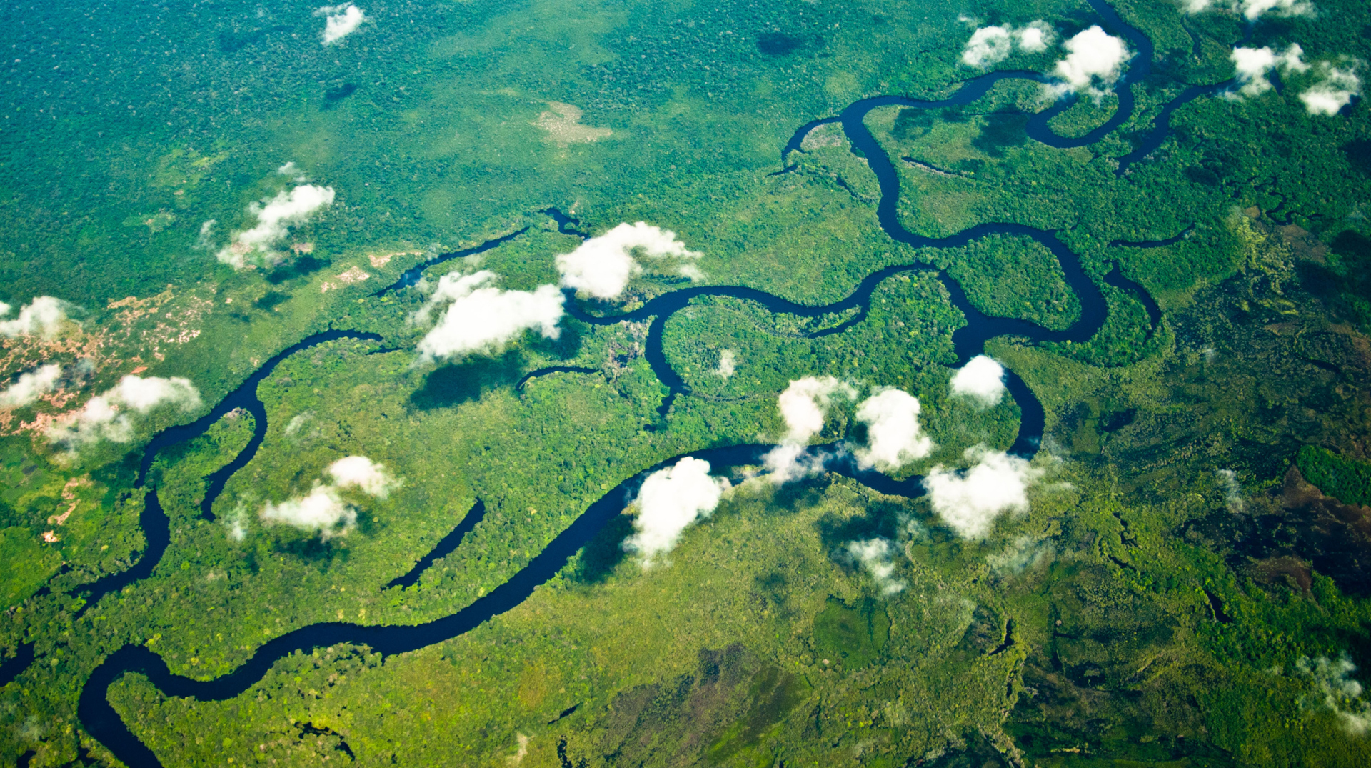 Der Amazonas mäandert durch den Regenwald. Bild: Thomas Milz/Adveniat