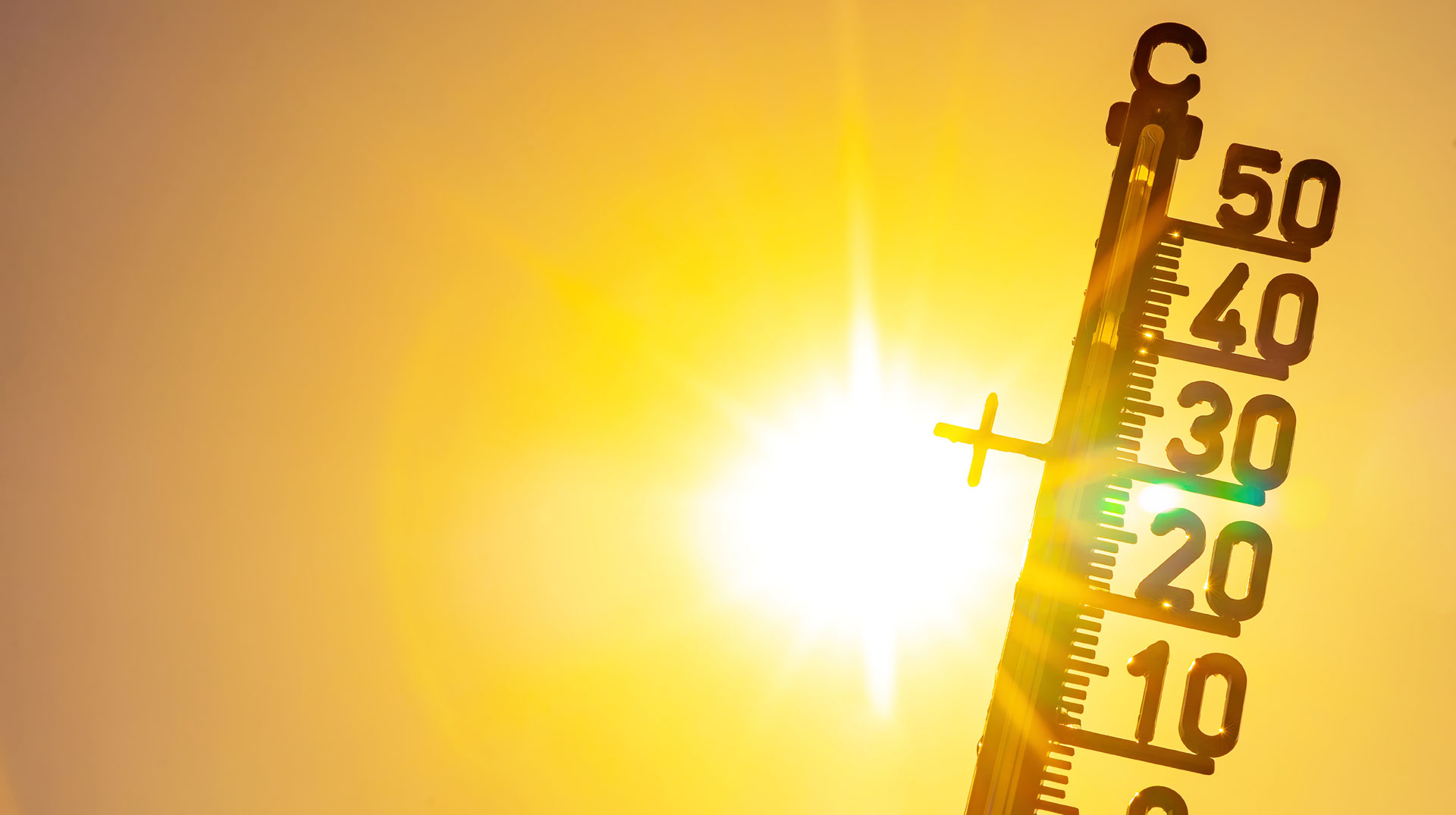 Forscher rechnen weiter mit Welt-Temperaturen auf Rekordniveau