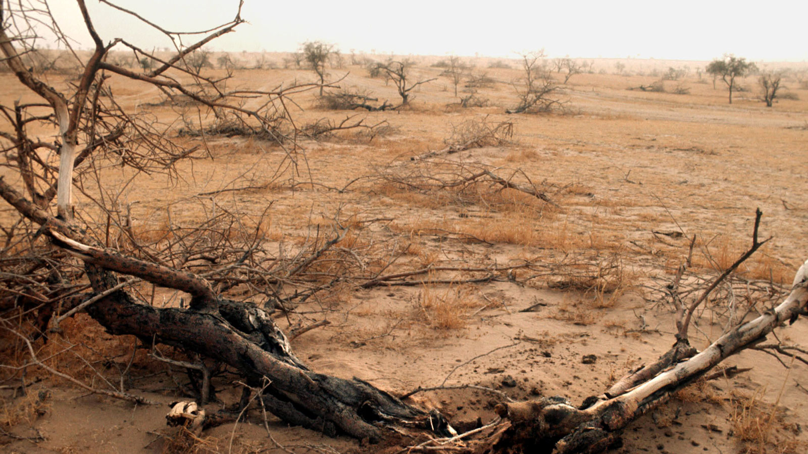 UN-Klimabericht: In Afrika sind Millionen von Extremwettern betroffen