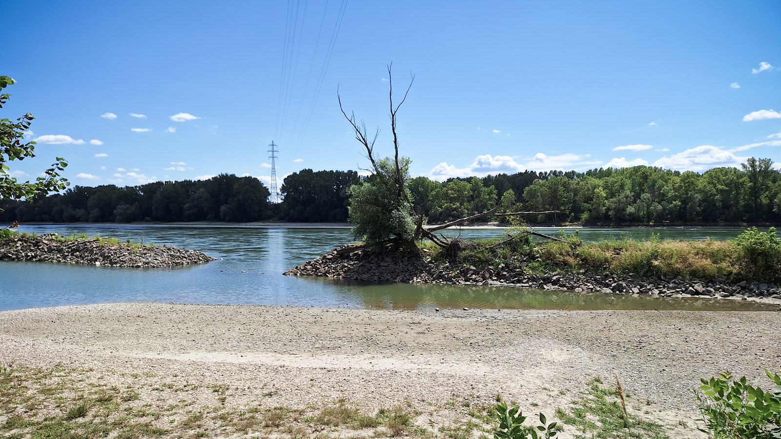 Keine Entwarnung für die Donau: Niedrigwasser könnte Vorbote für die nächsten Jahre sein