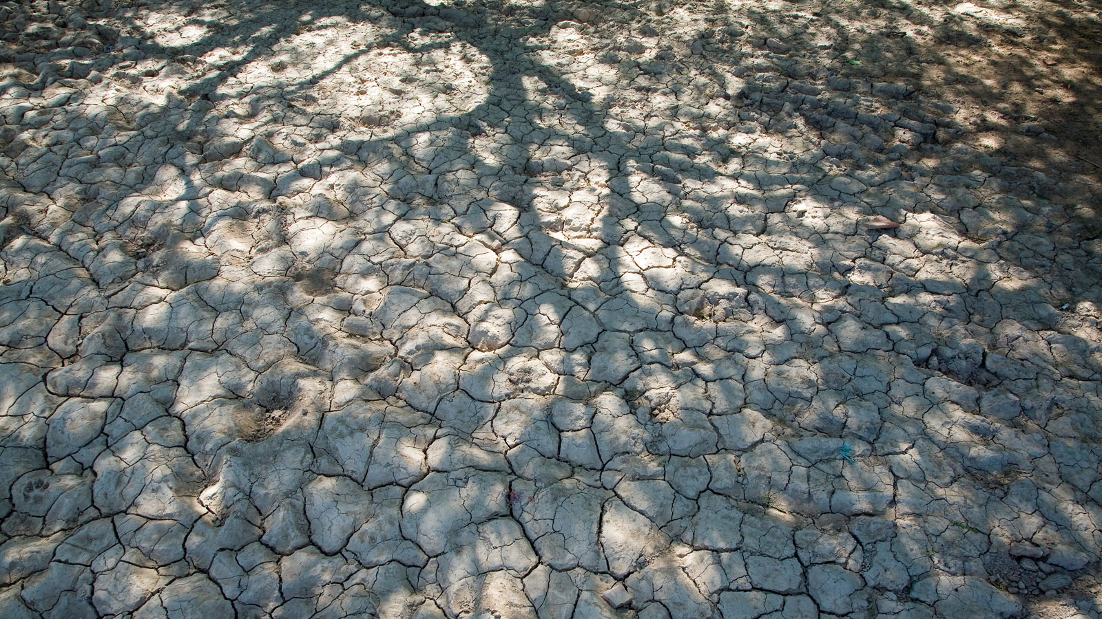 Evangelisches Hilfswerk: Klimaphänomen El Niño verschärft weltweiten Hunger